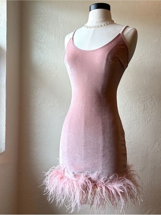Fashion Nova Dresses & Skirts - Fashion Nova Pink Velvet Feather Bodycon Dress Size S Mini Bling Gem Necklace